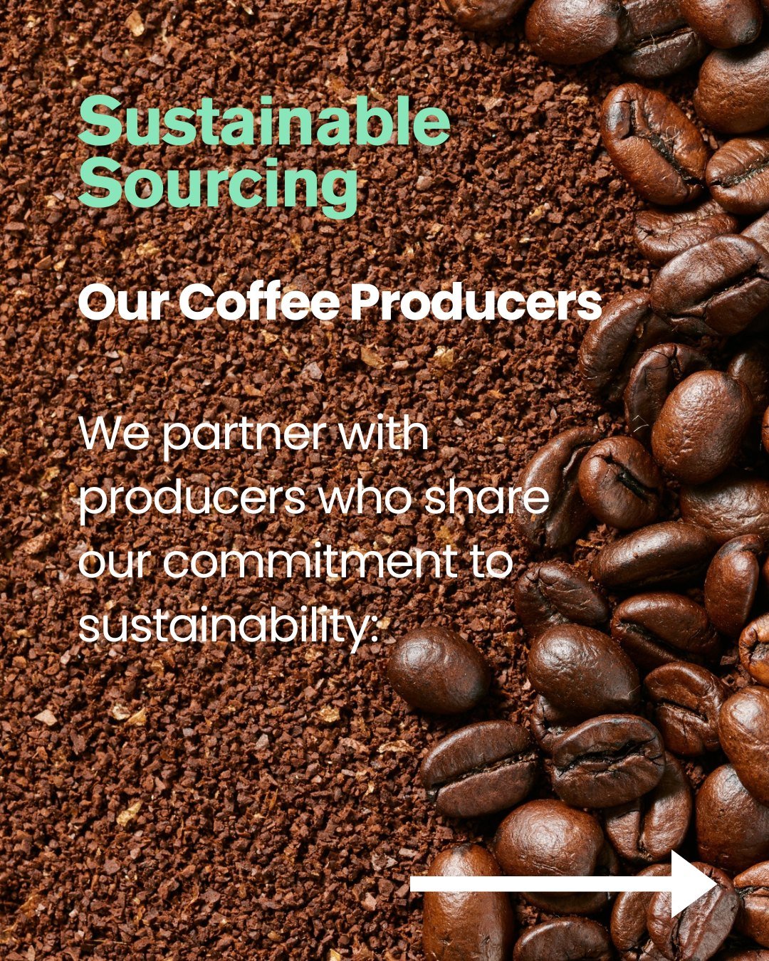 Sustainable sourcing: our coffee producers 🌱☕

We proudly partner with producers who care for the planet as much as they care about great coffee.

Swipe through to meet the people behind the beans 👉

#SustainablySourced #CoffeeWithPurpose #Anonymou