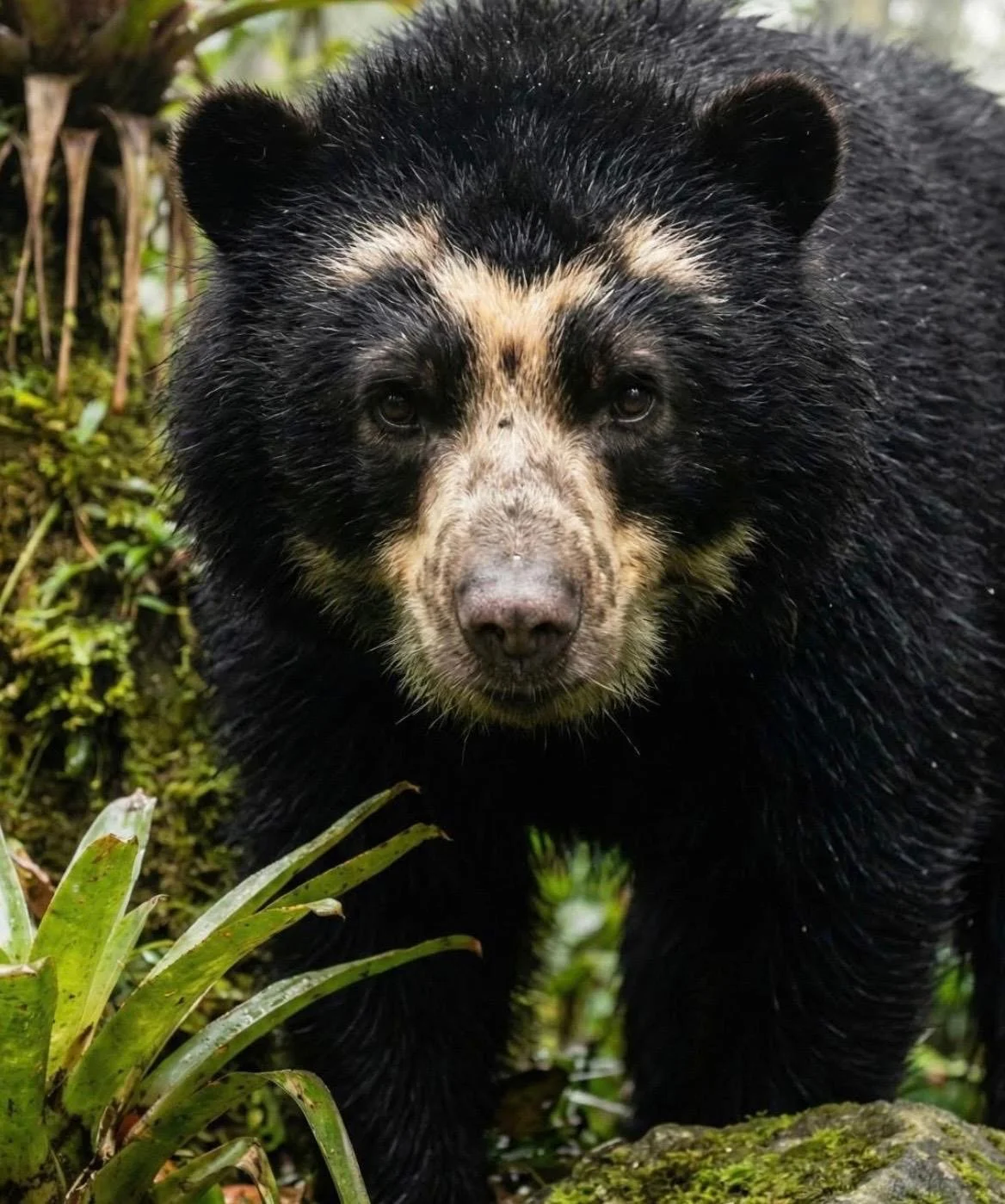 05762d63-0f55-4afa-83f5-795360340cf8 2.JPG