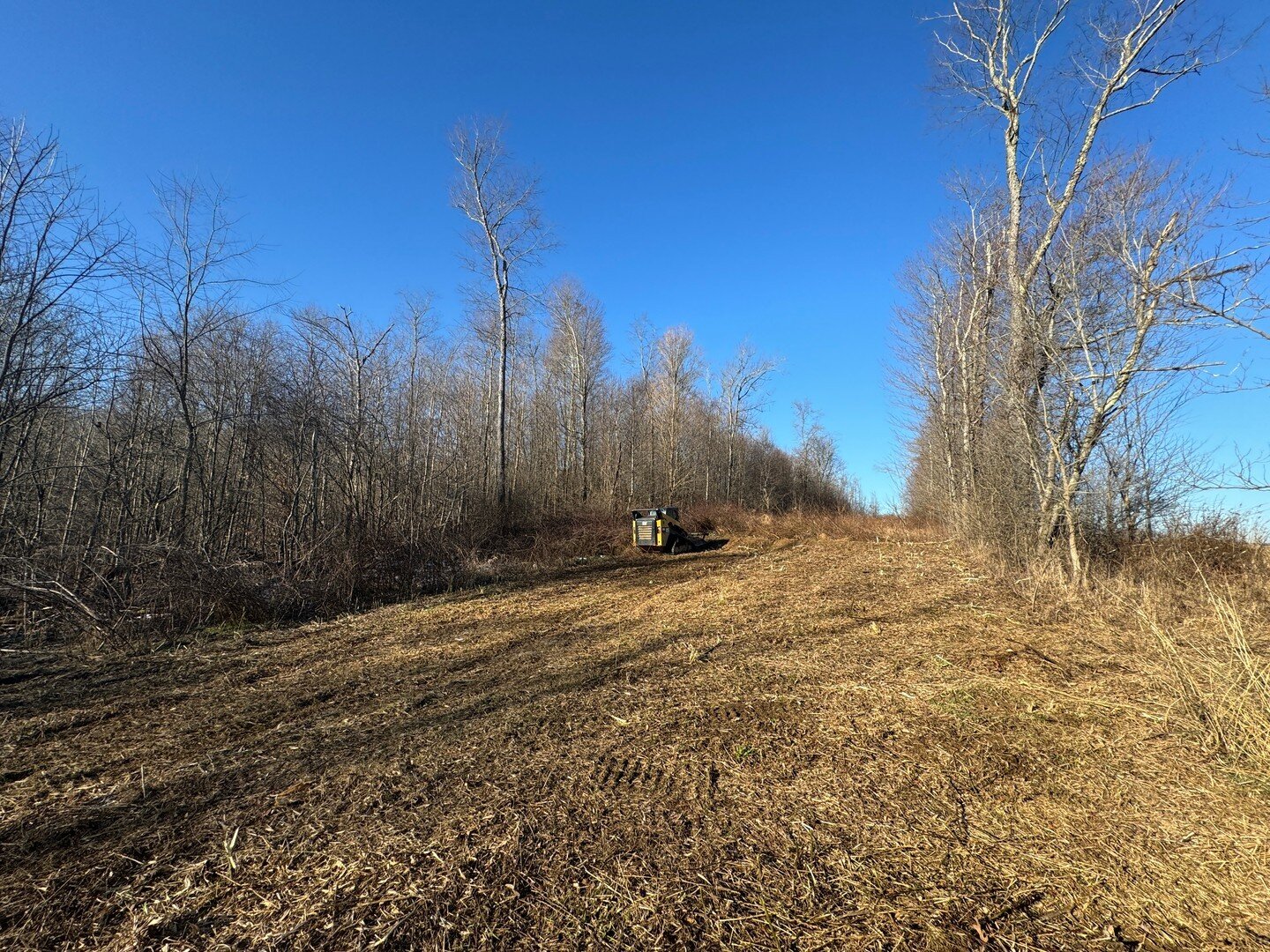 Is it time to start cutting the grass already?!?!? Our teams have been doing right-of-way clearings for months, clearing miles of ROWs already this year!
#GoWithThePro