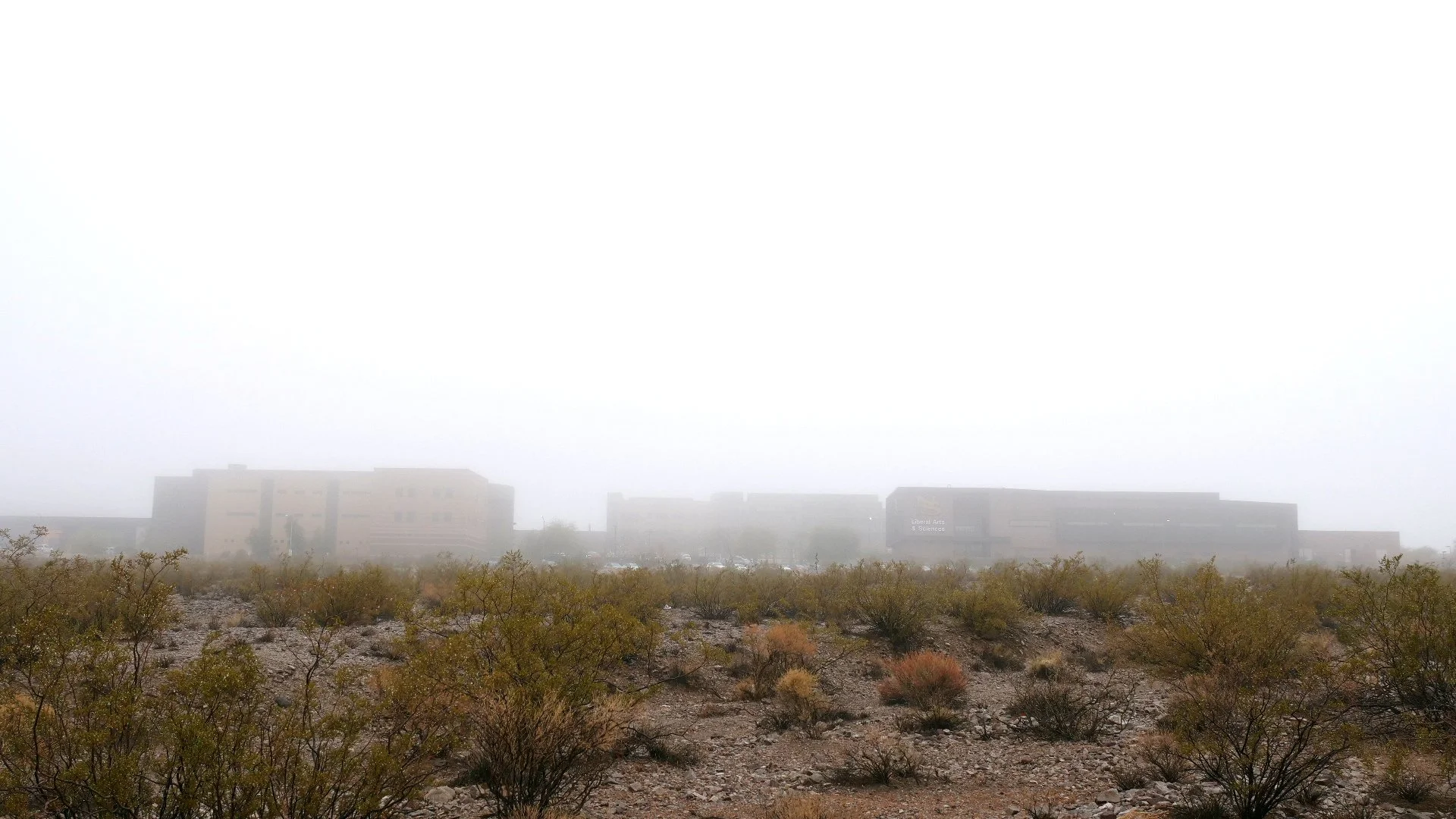 01.23.24 Rain Fog 0001.JPG