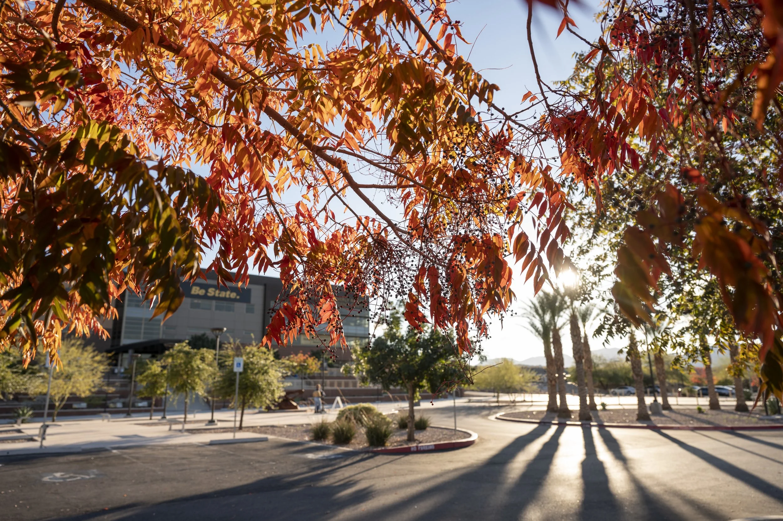 11.17.23 Campus Fall 0005.JPG