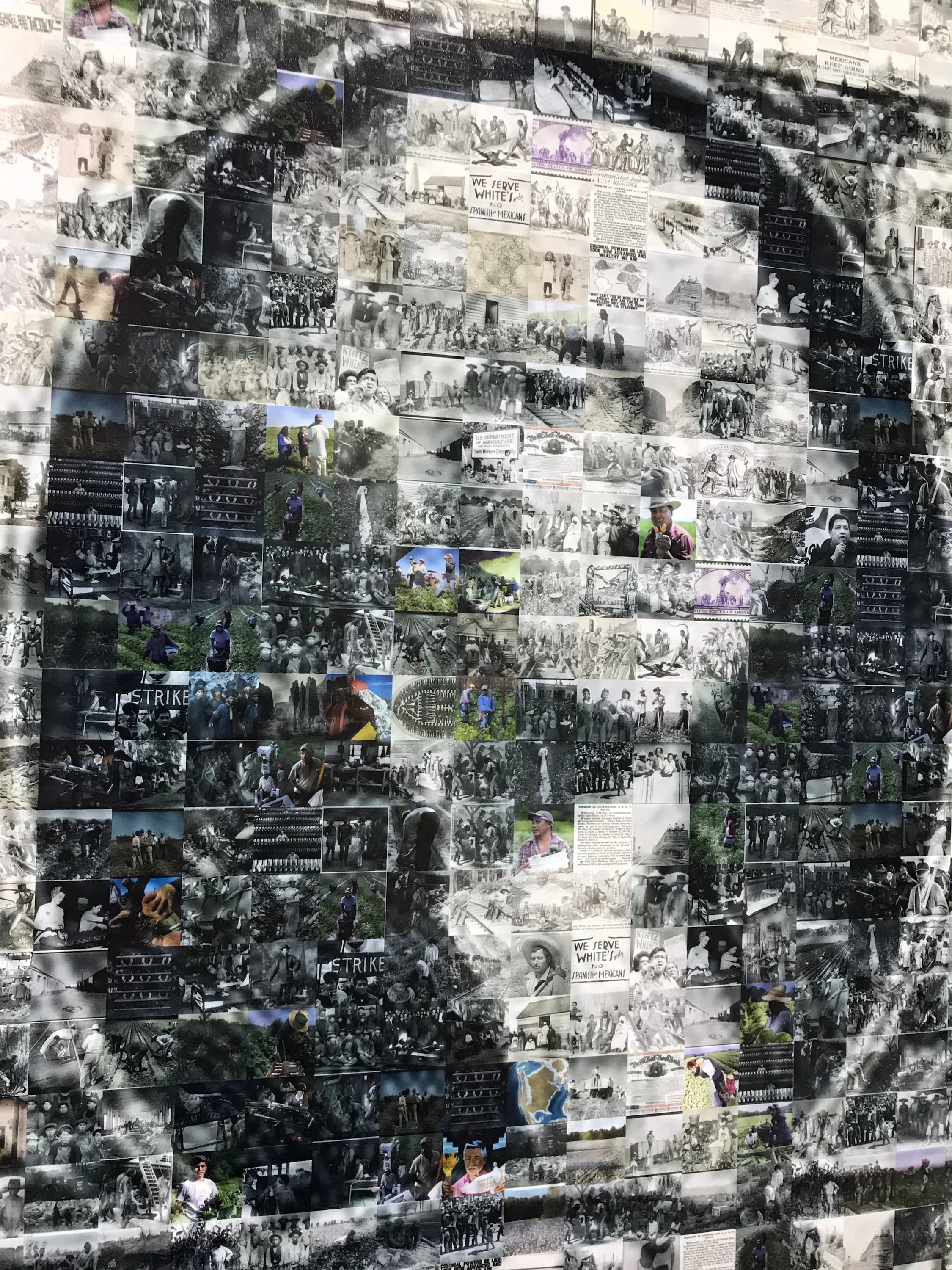 0_Ariella J Asher_Almighty Dollar_close up_Pirate 2019.jpeg
