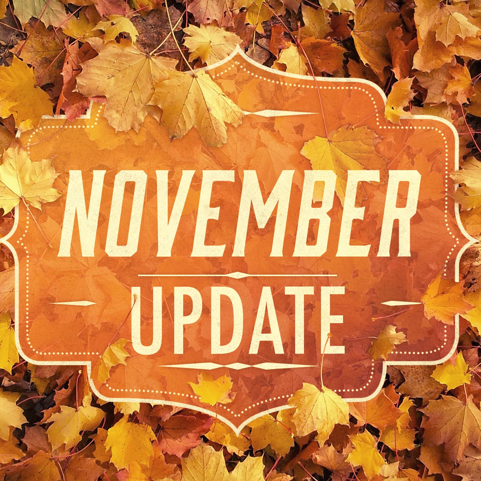 November Update