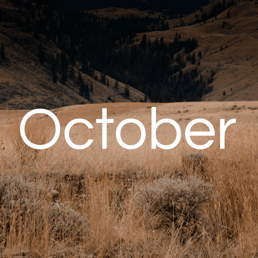 October Update
