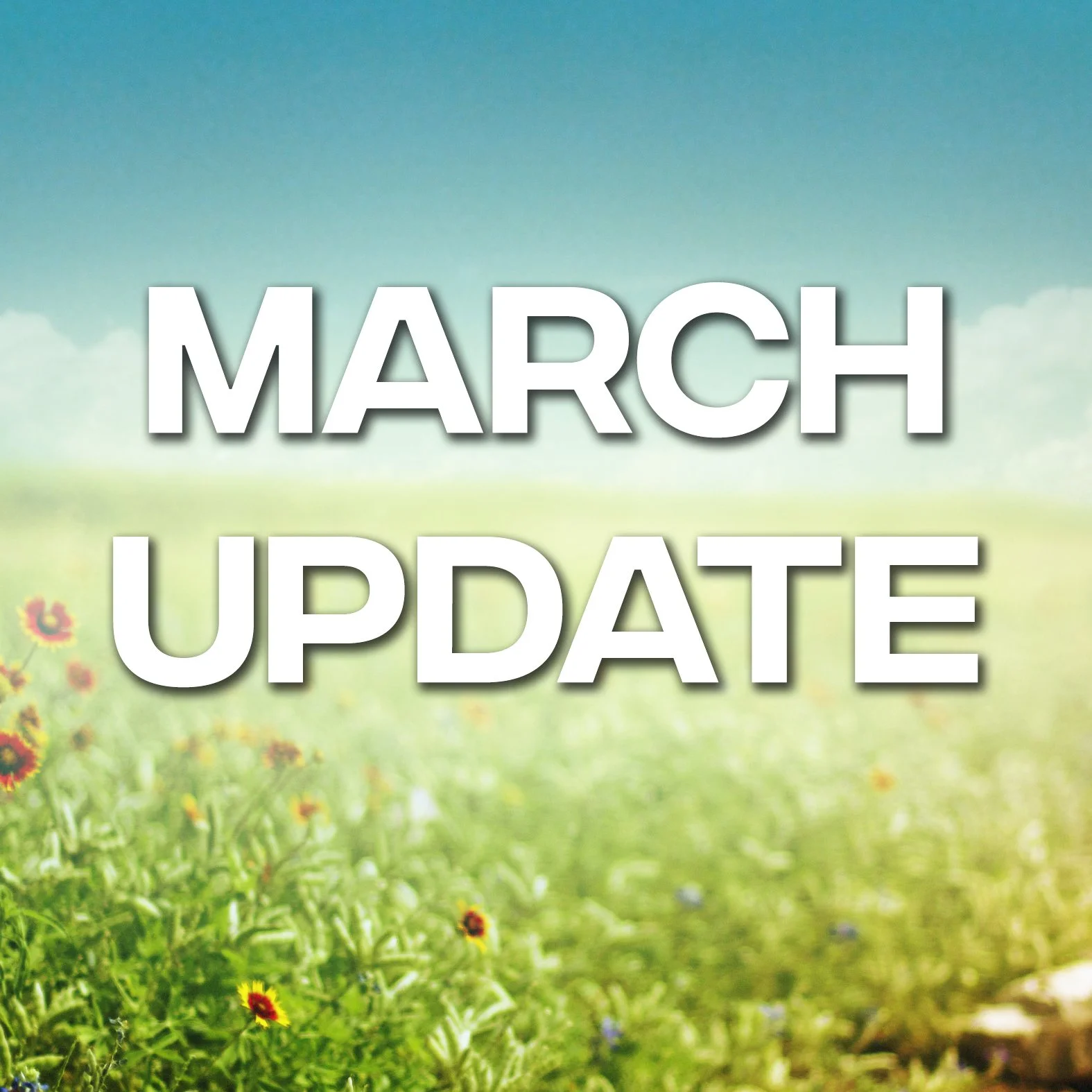 March 2022 Update