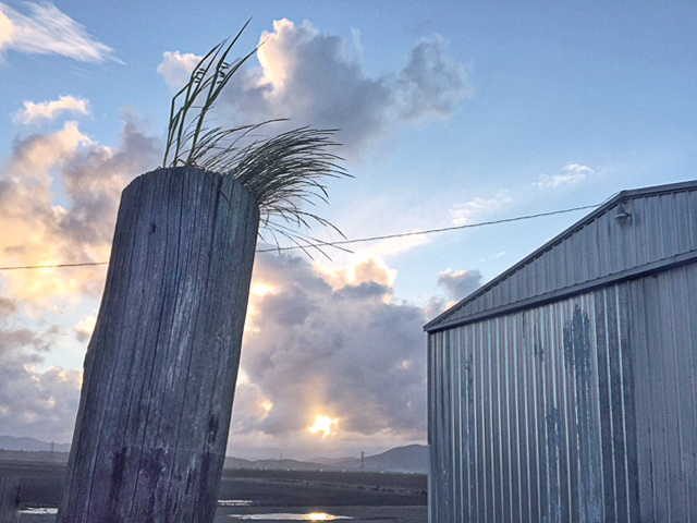 grass-post-barn-baytrail-web.jpg