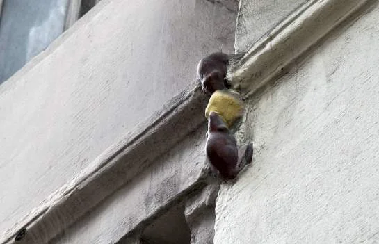London’s smallest statue is located on Philpot Lane and features two tiny mice eating cheese. It is dedicated to two builders who fell during construction of The Monument after an argument over a missing sandwich, that they blamed on each other but was actually the fault of a mice infestation.