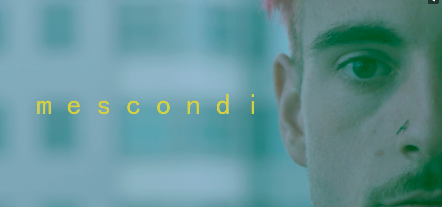 Screen Shot 2019-05-10 at 3.12.35 PM.png