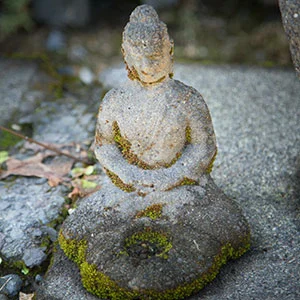 buddha.jpg
