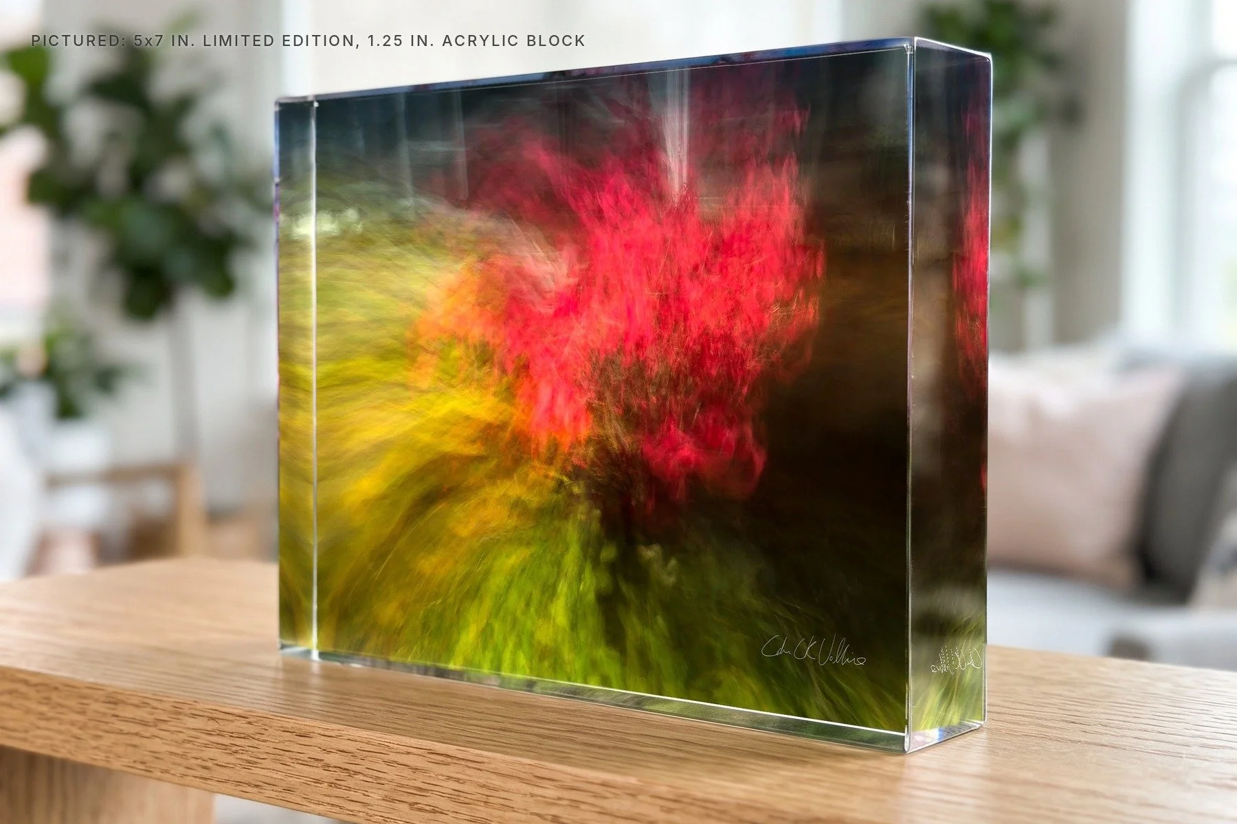 Burning Bush Jordan - 5x7 acrylic block.jpg