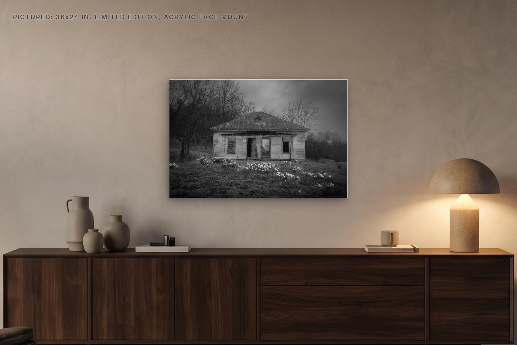 Homestead at Mound Bottom Daffodils - 36x24 acrylic face mount in the evening.jpg