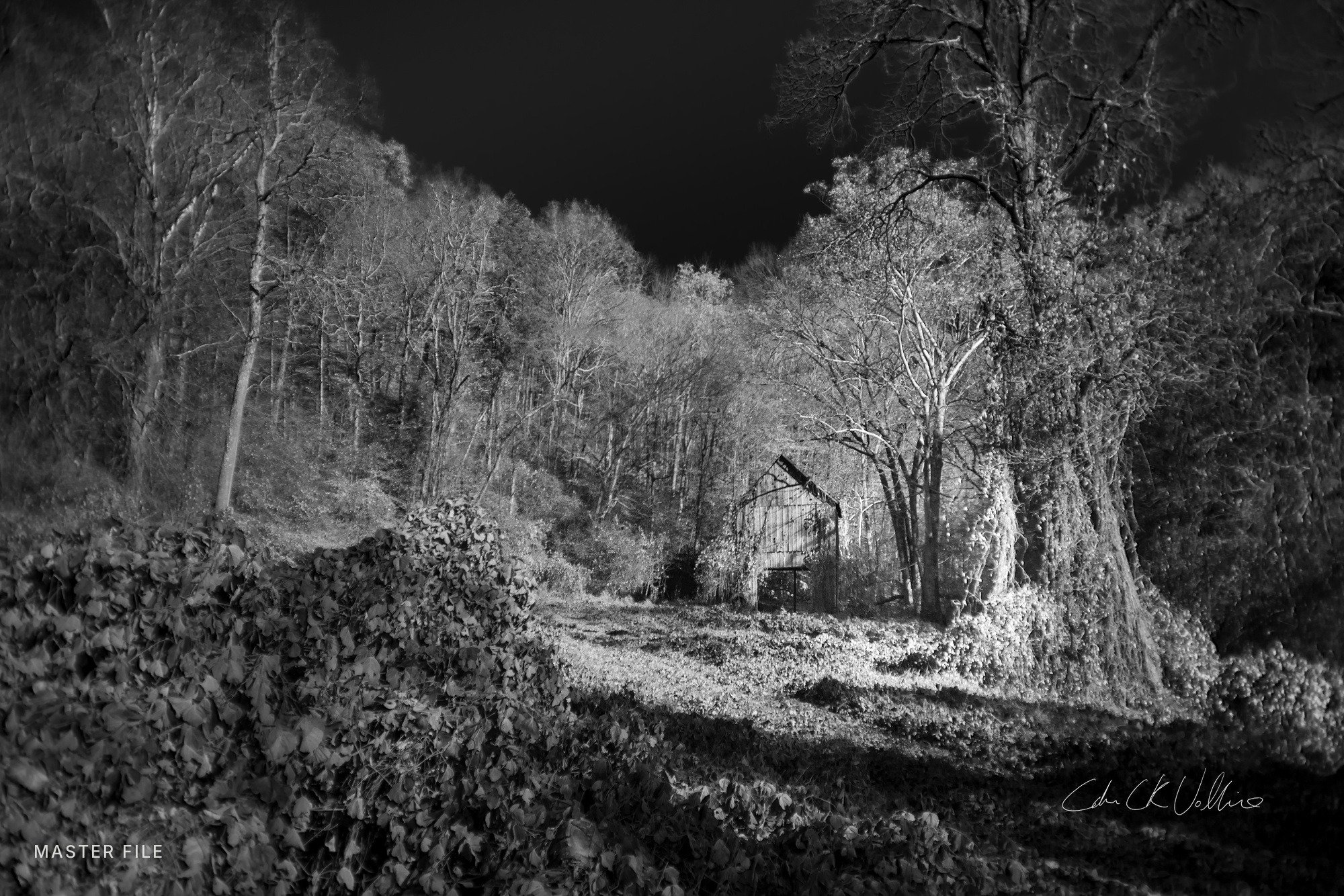 Kudzu-Covered Barn Cedar Hill Road - My Tennessee by Adam CK Vollick.jpg