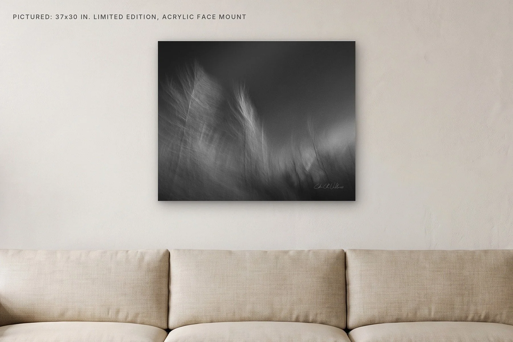 Infrared 002 - 37x30 acrylic face mount in a living room.jpg
