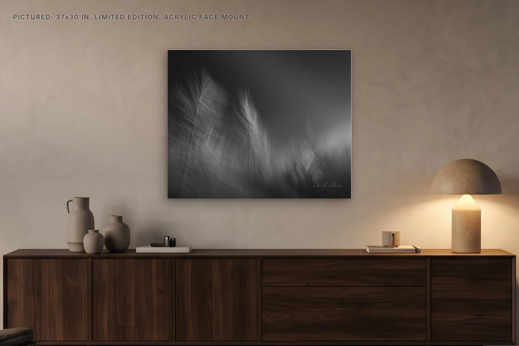 Infrared 002 - 37x30 acrylic face mount in the evening.jpg