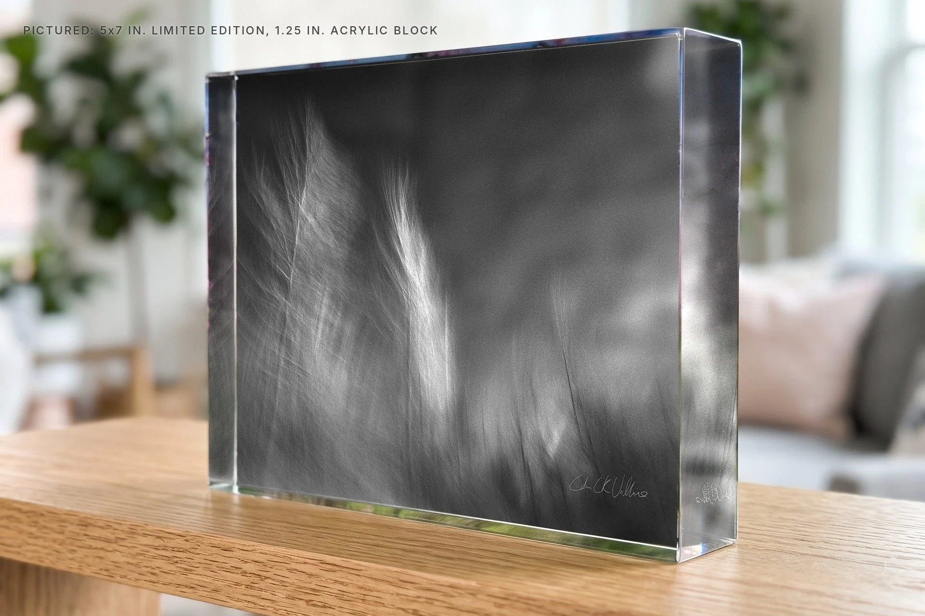 Infrared 002 - 5x7 acrylic block.jpg