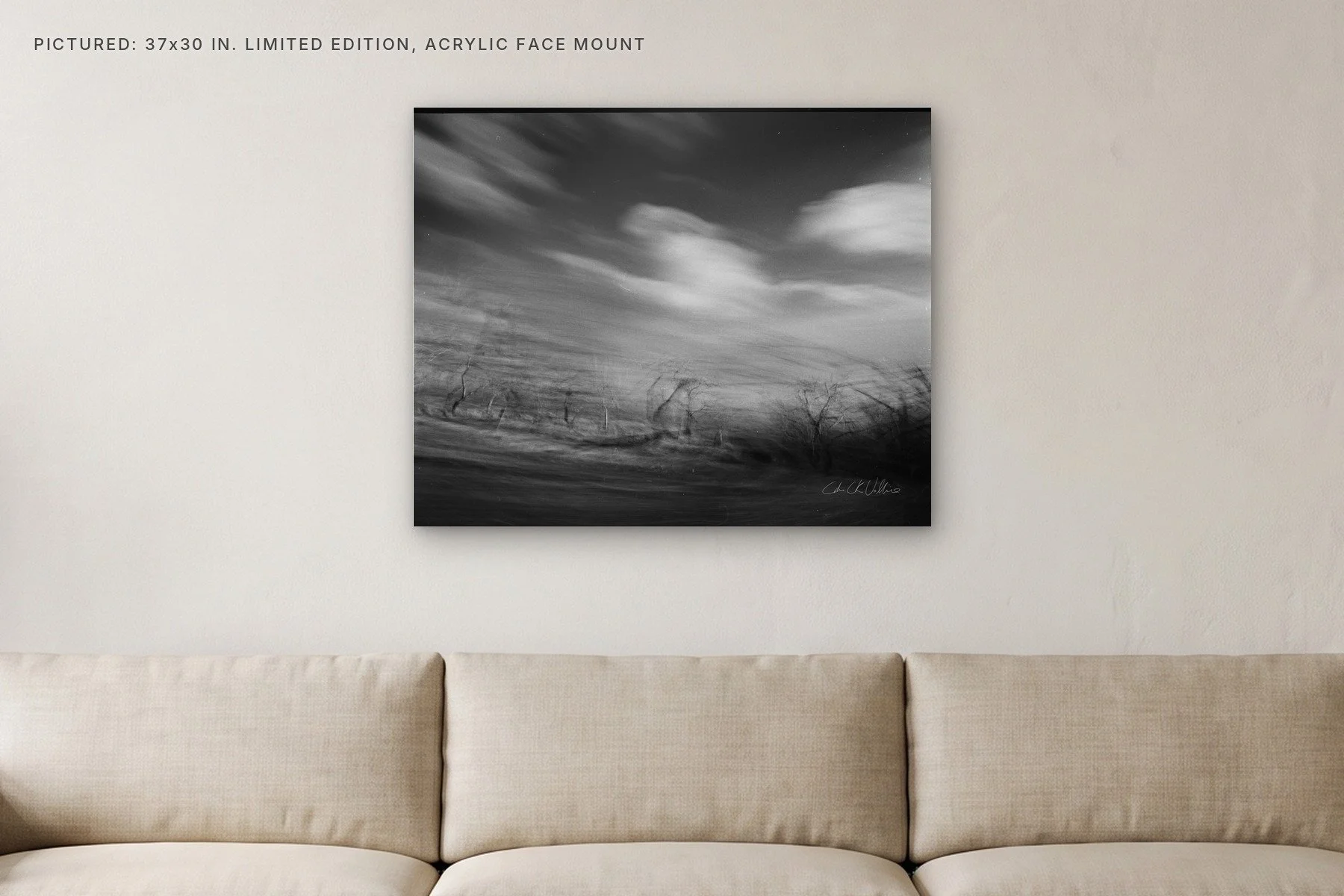 Infrared 003 - 37x30 acrylic face mount in a living room.jpg