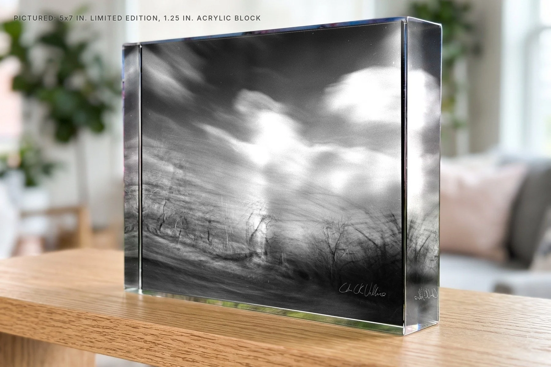 Infrared 003 - 5x7 acrylic block.jpg