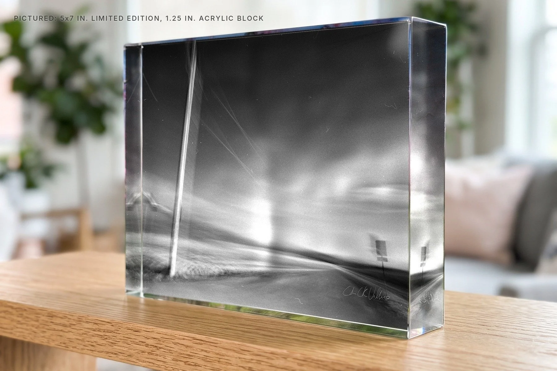 Infrared 004 - 5x7 acrylic block.jpg