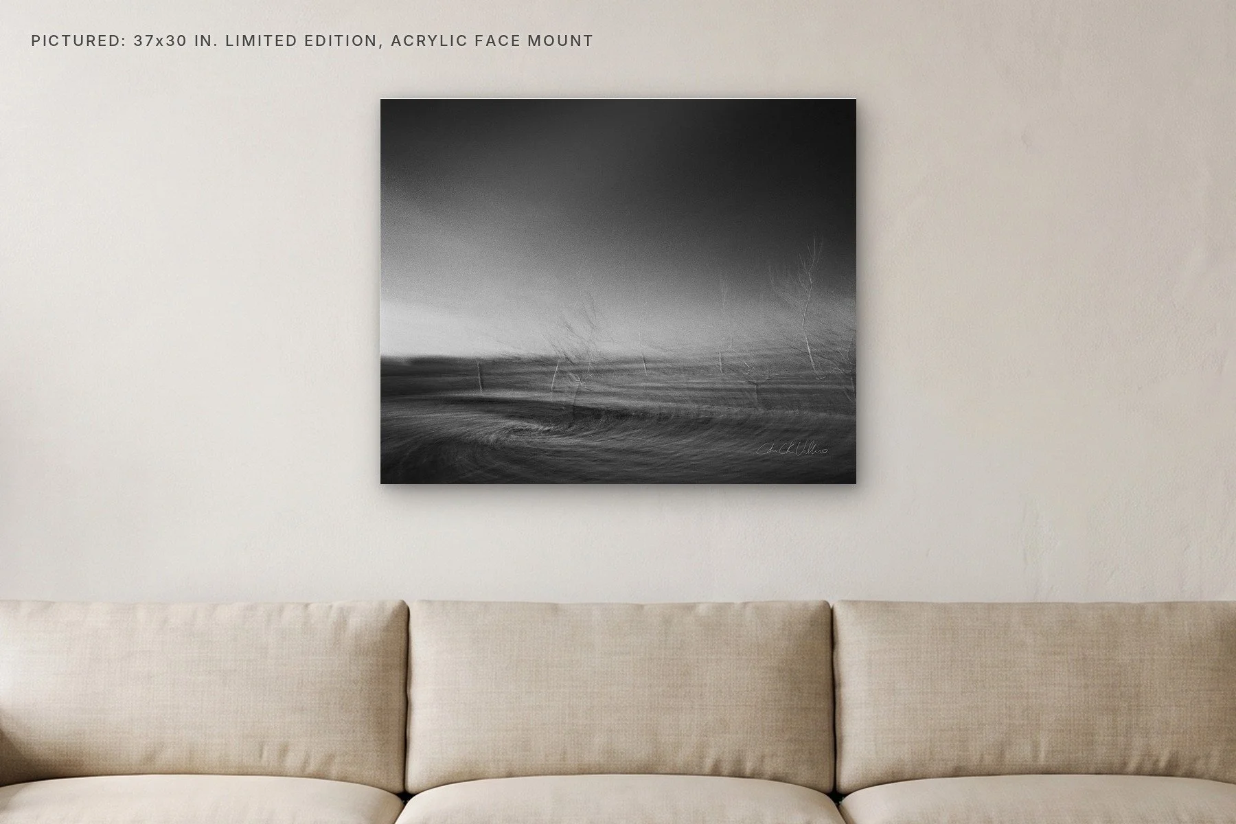 Infrared 005 Burnt - 37x30 acrylic face mount in a living room.jpg