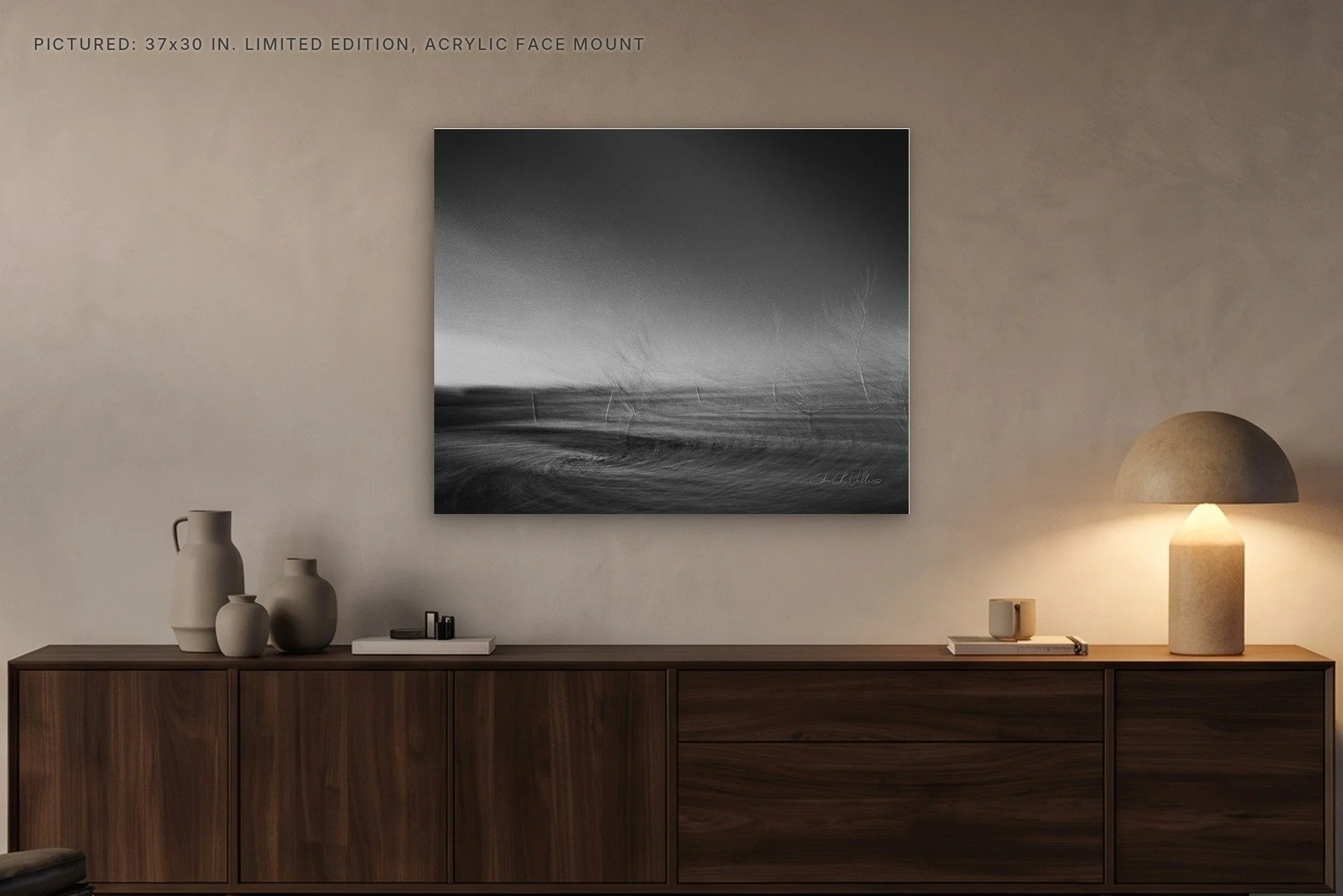 Infrared 005 Burnt - 37x30 acrylic face mount in the evening.jpg