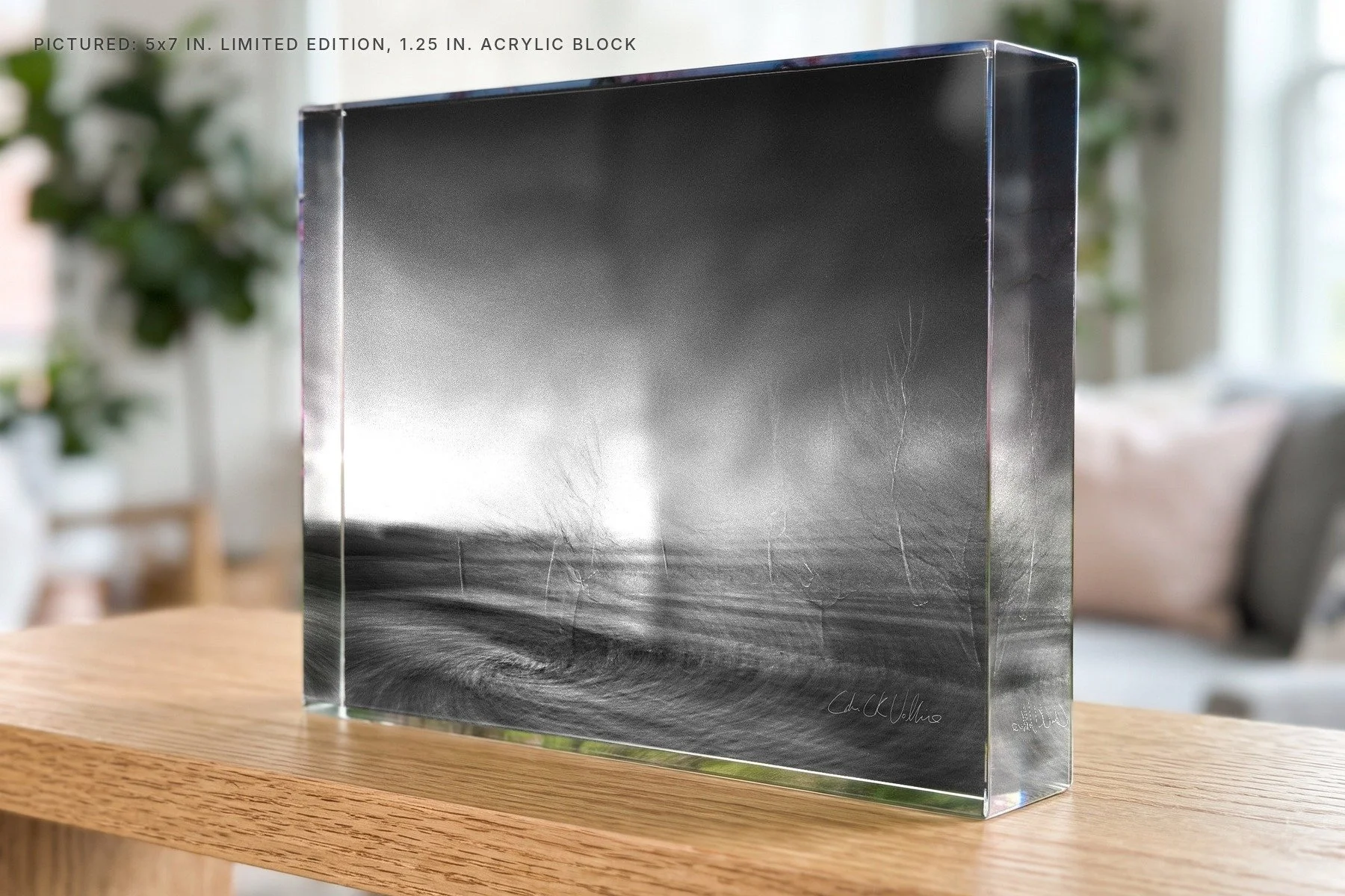Infrared 005 Burnt - 5x7 acrylic block.jpg