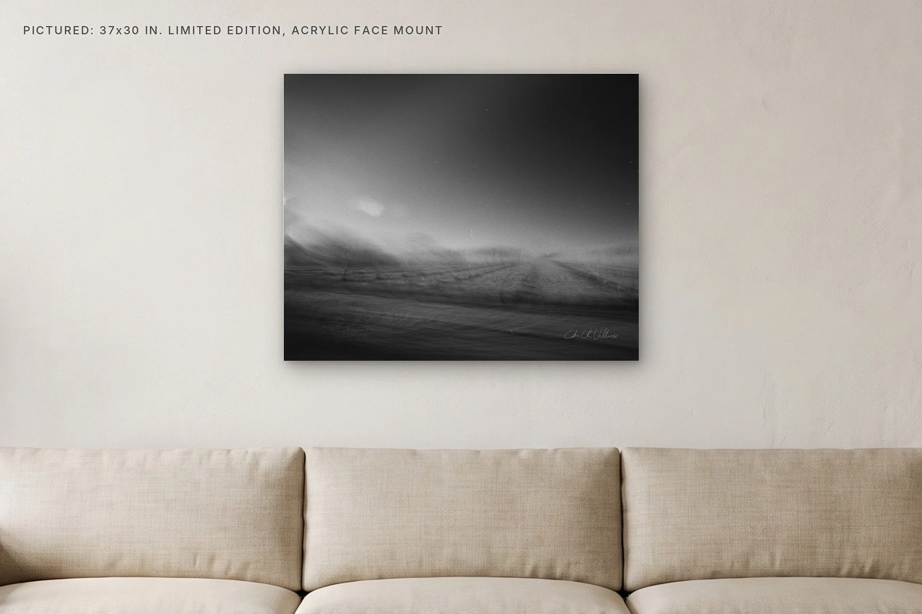 Infrared 006 - 37x30 acrylic face mount in a living room.jpg