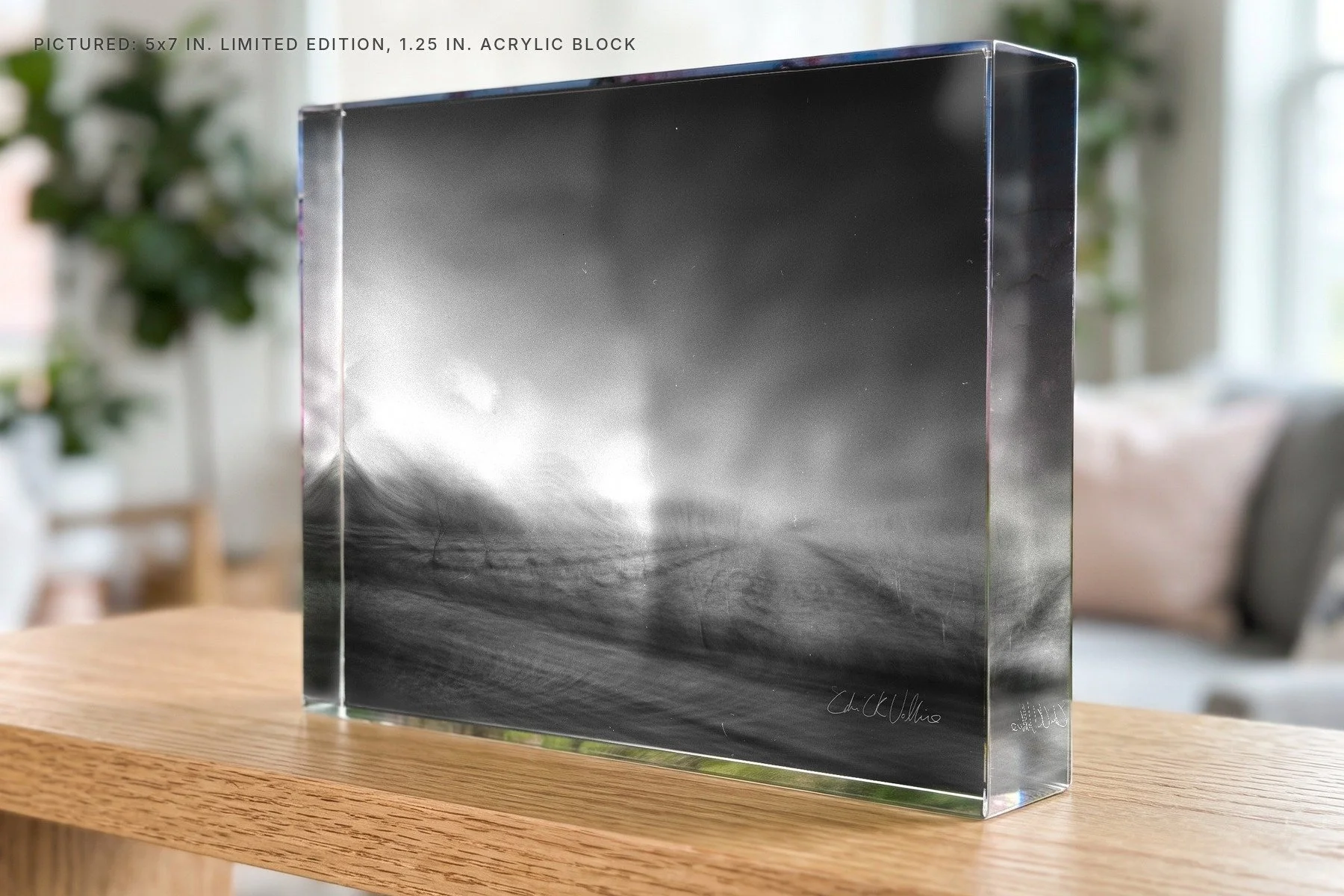 Infrared 006 - 5x7 acrylic block.jpg