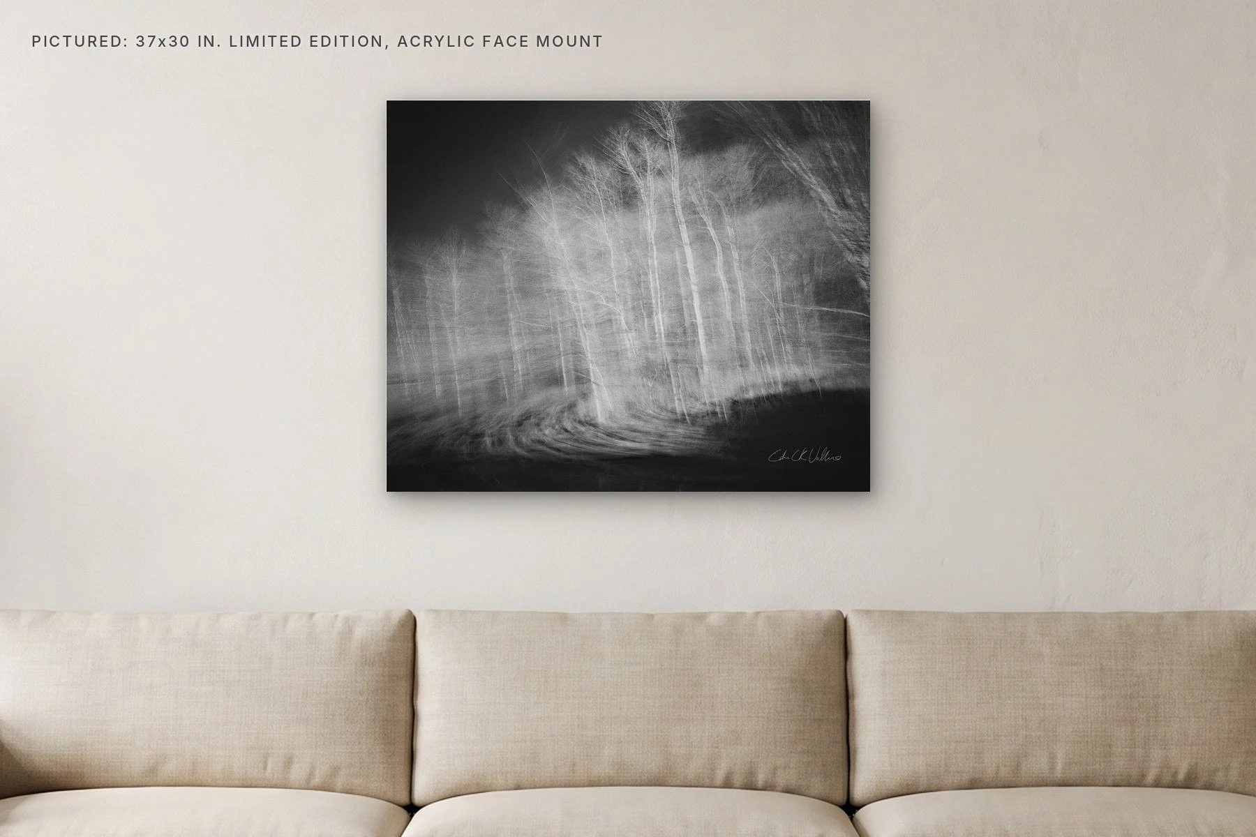 Infrared 007 Resurrected - 37x30 acrylic face mount in a living room.jpg