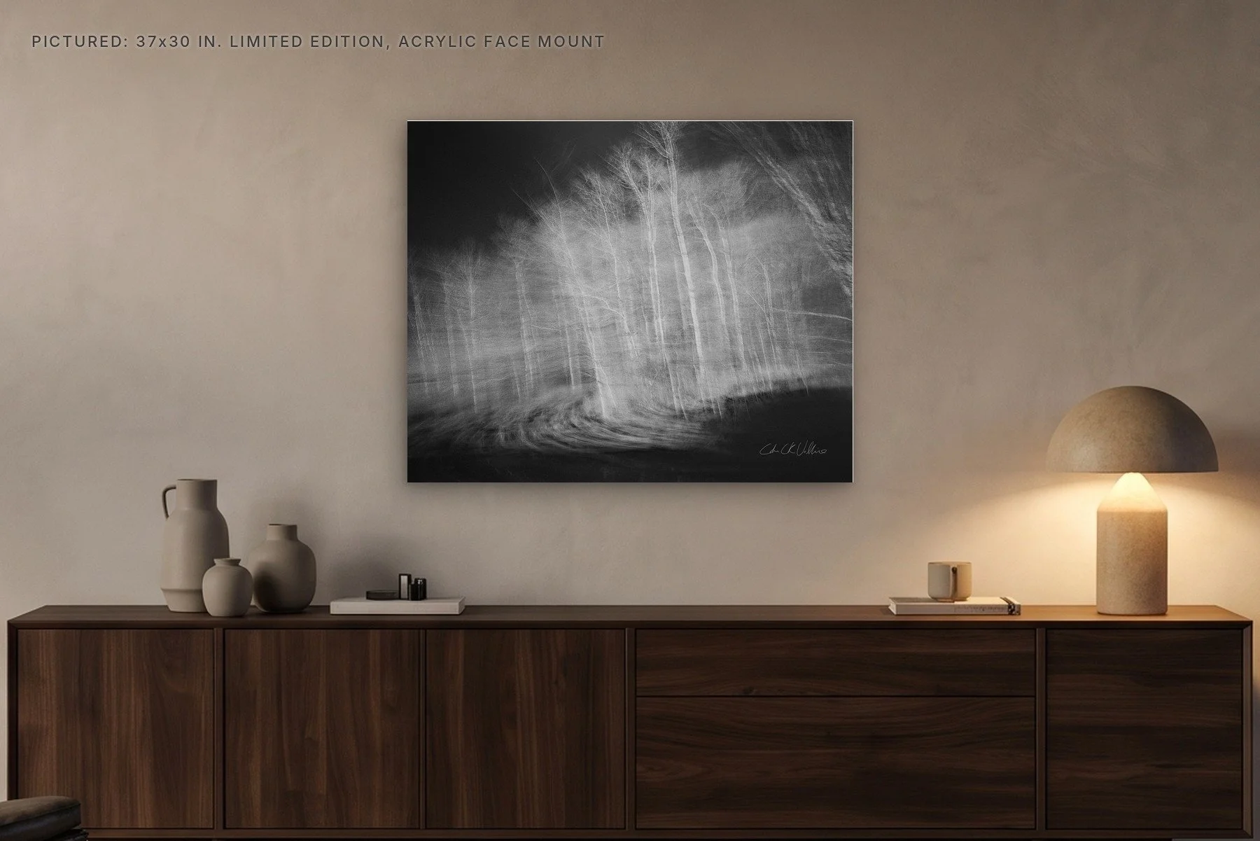 Infrared 007 Resurrected - 37x30 acrylic face mount in the evening.jpg