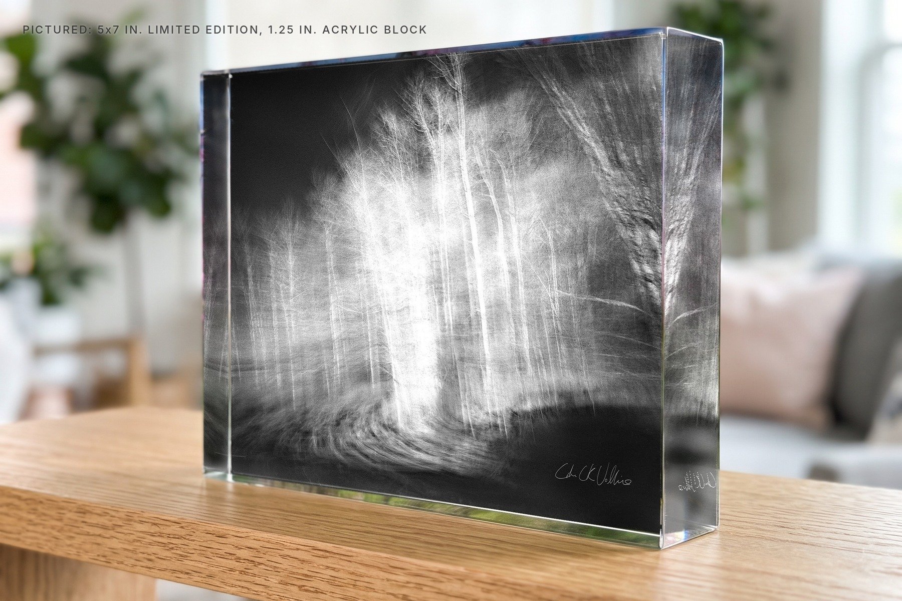 Infrared 007 Resurrected - 5x7 acrylic block.jpg