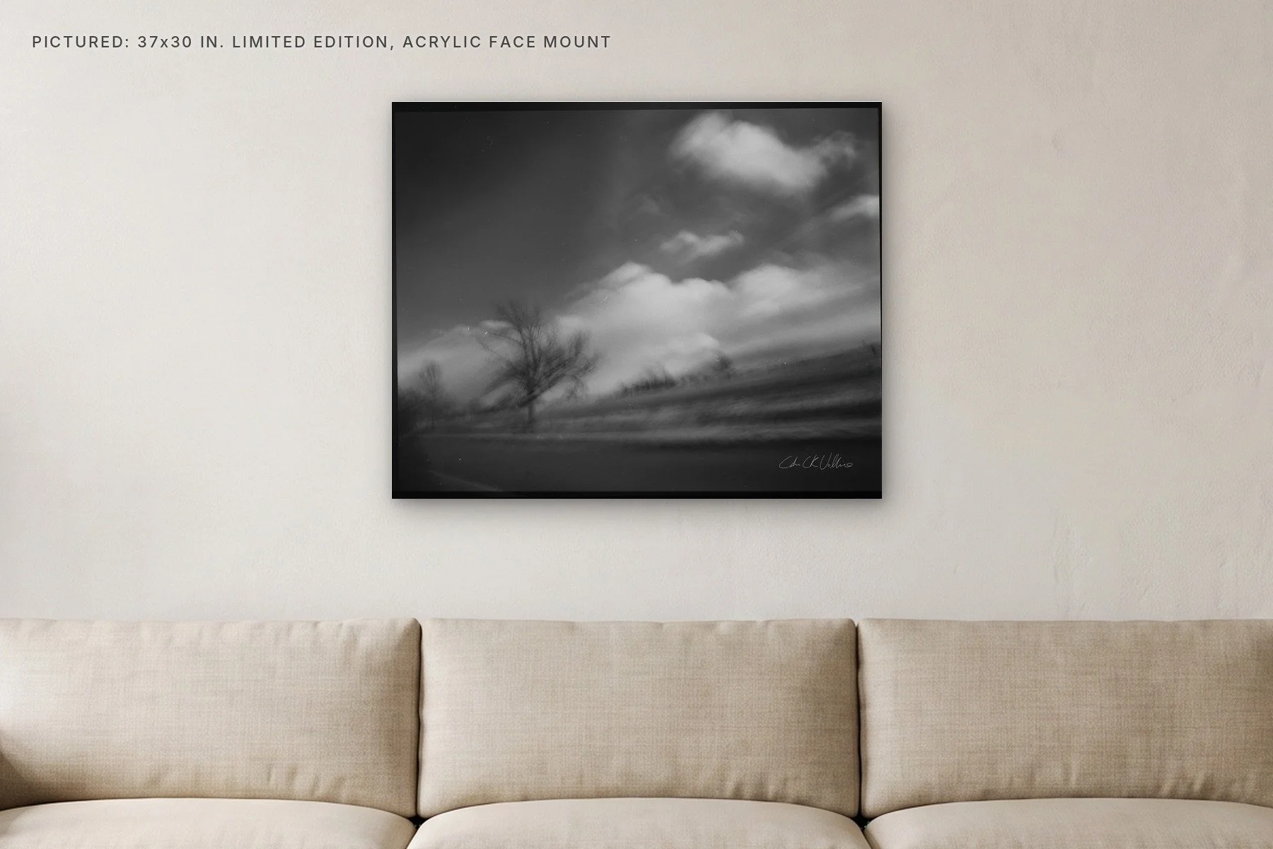Infrared 008 - 37x30 acrylic face mount in a living room.jpg