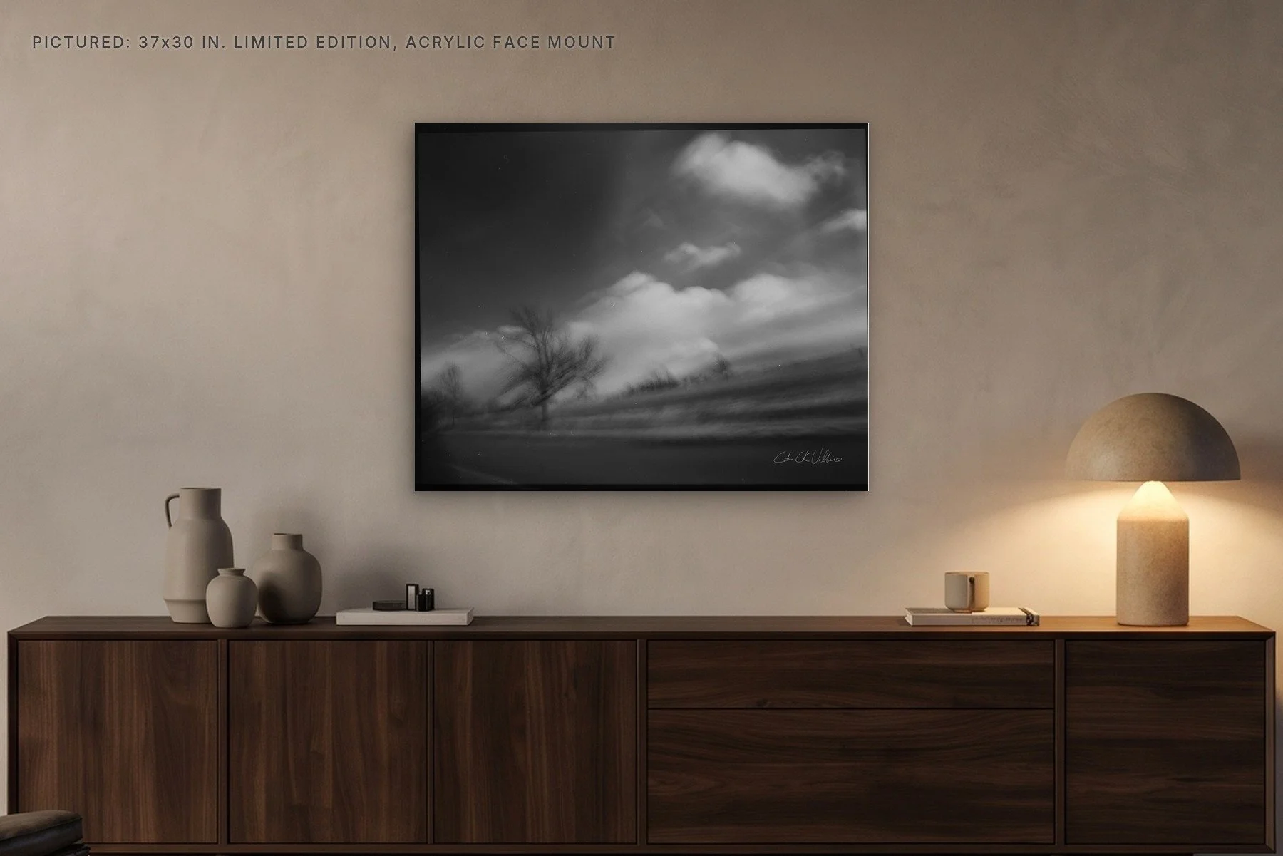 Infrared 008 - 37x30 acrylic face mount in the evening.jpg