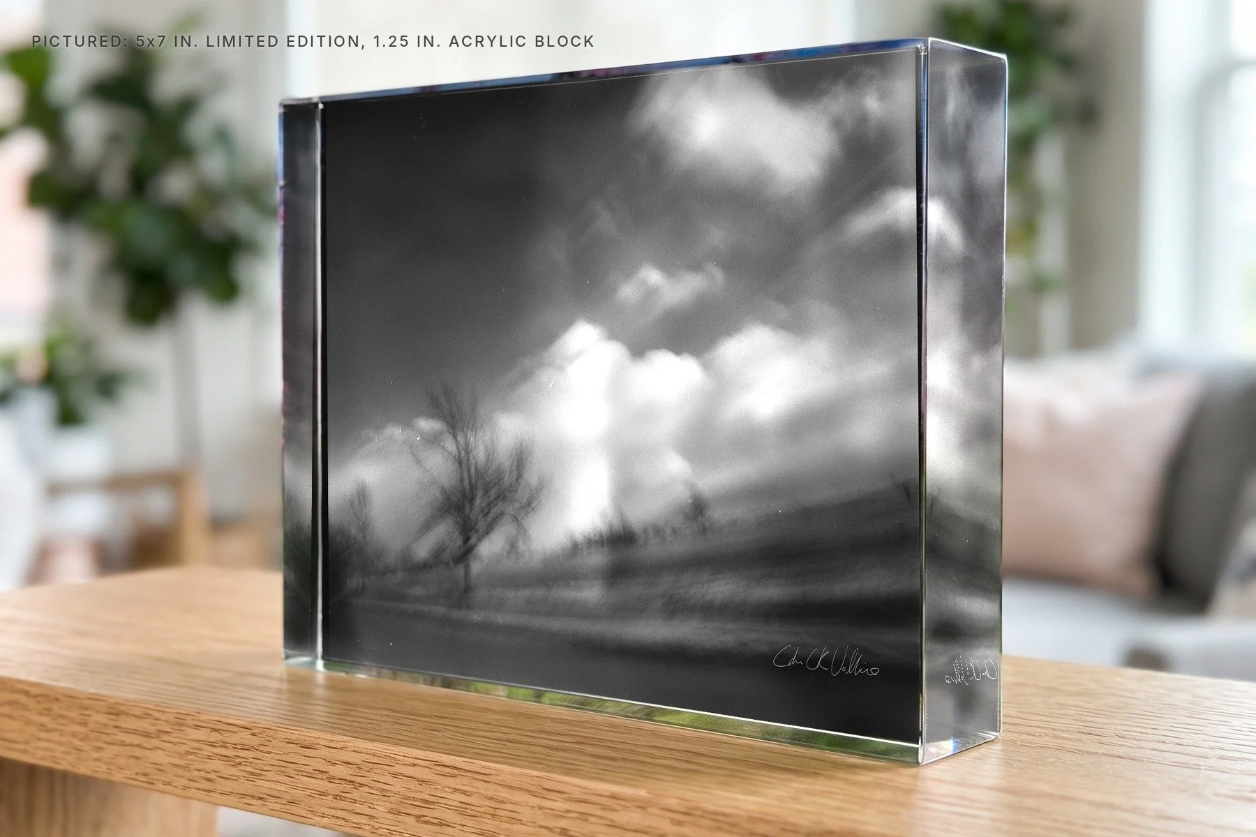 Infrared 008 - 5x7 acrylic block.jpg