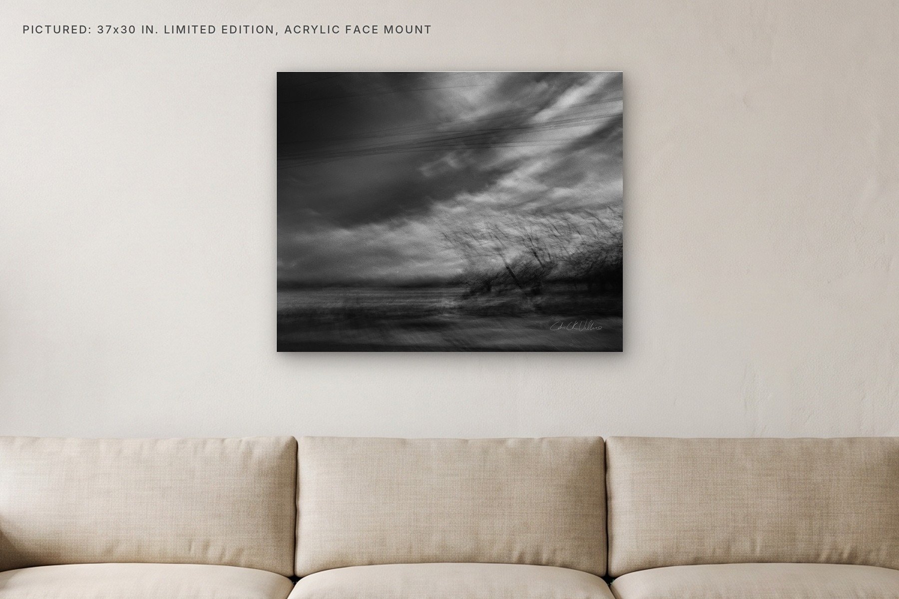 Infrared 009 - 37x30 acrylic face mount in a living room.jpg