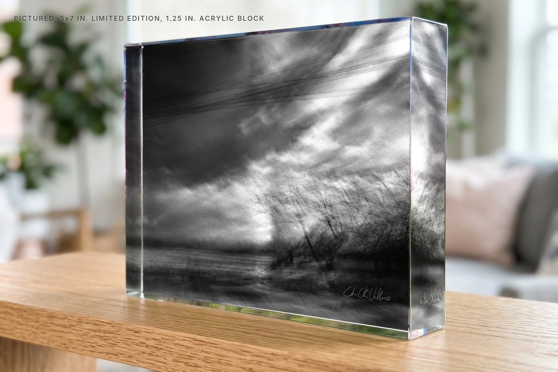 Infrared 009 - 5x7 acrylic block.jpg