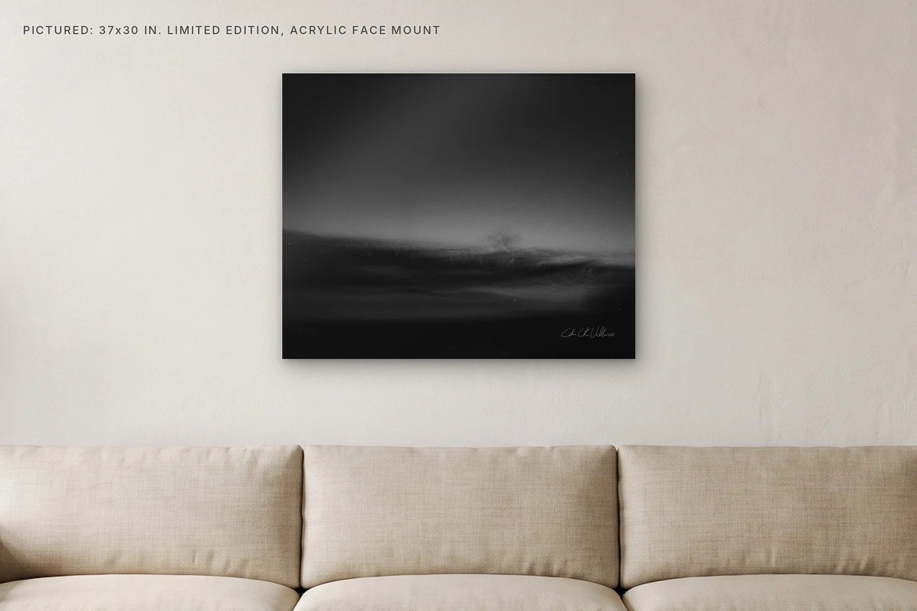 Infrared 010 - 37x30 acrylic face mount in a living room.jpg