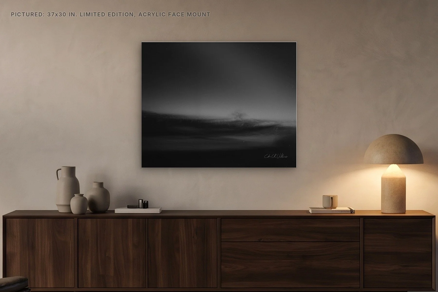 Infrared 010 - 37x30 acrylic face mount in the evening.jpg