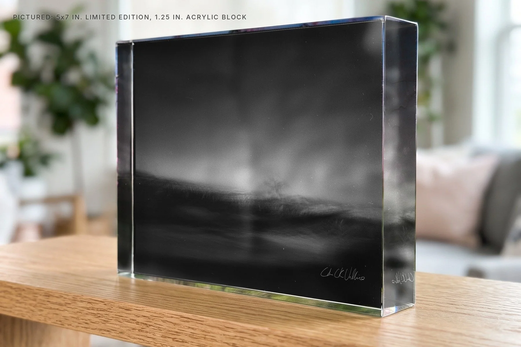 Infrared 010 - 5x7 acrylic block.jpg