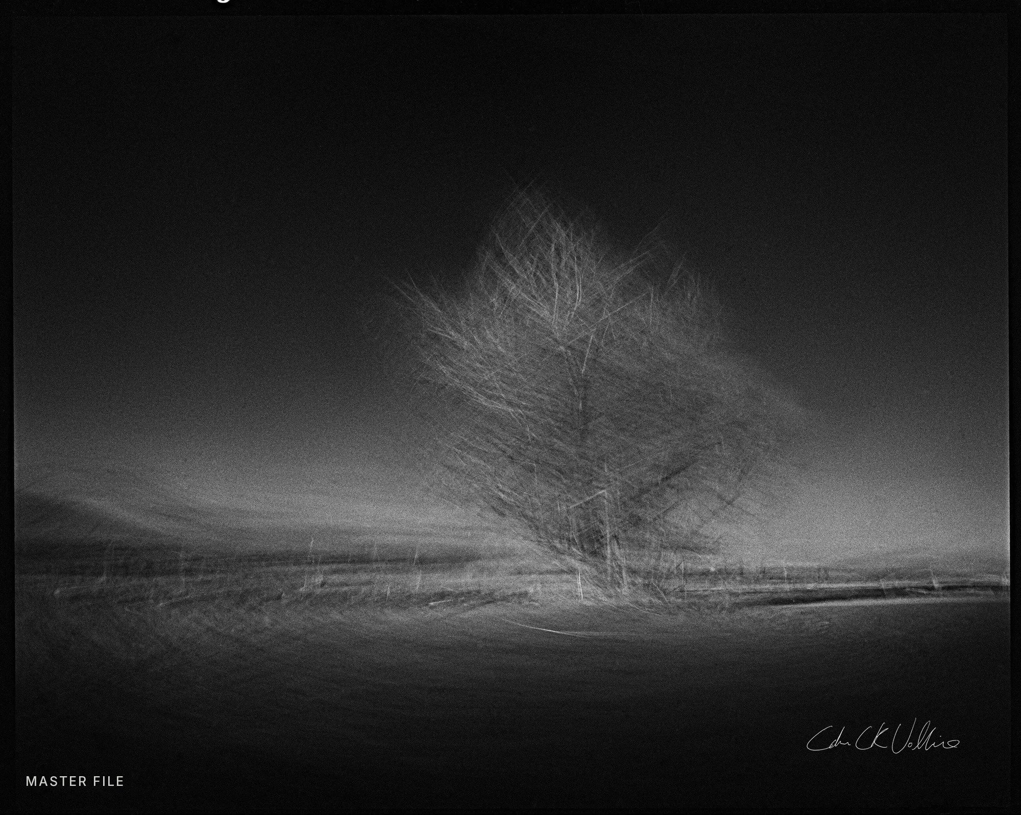 Infrared 011 Wide Clean Burning - Spacetime Painting by Adam CK Vollick.jpg