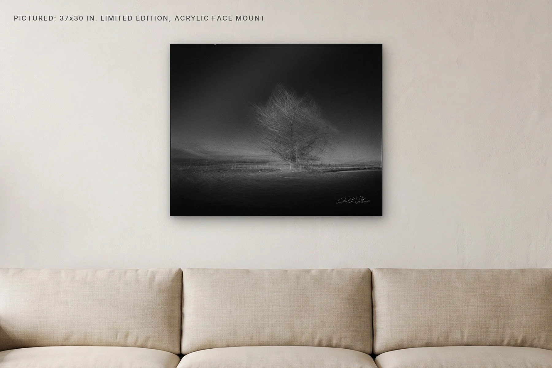 Infrared 011 Wide Clean Burning - 37x30 acrylic face mount in a living room.jpg