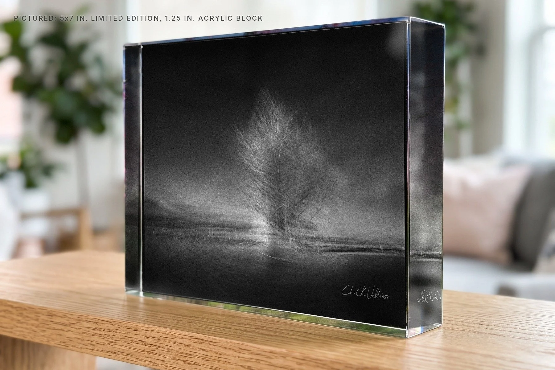 Infrared 011 Wide Clean Burning - 5x7 acrylic block.jpg