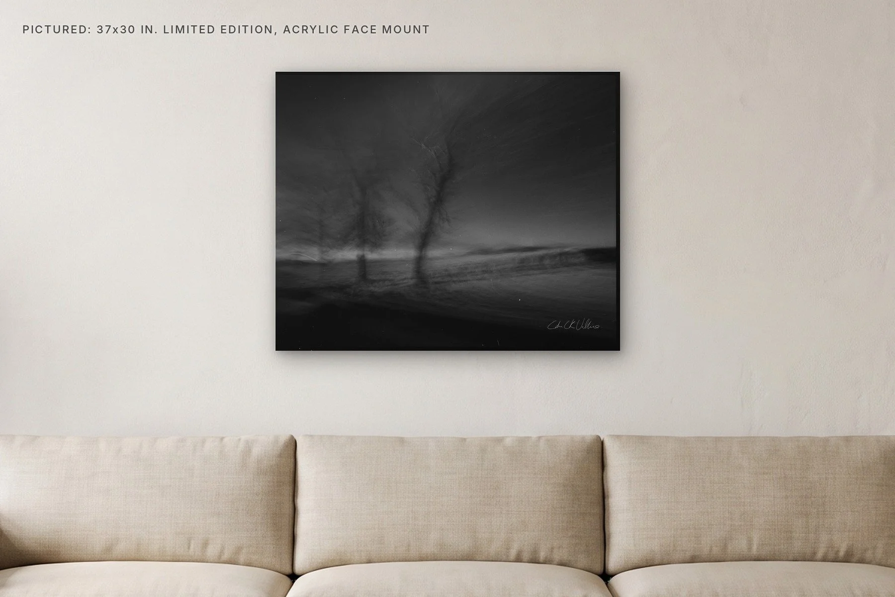 Infrared 012 - 37x30 acrylic face mount in a living room.jpg