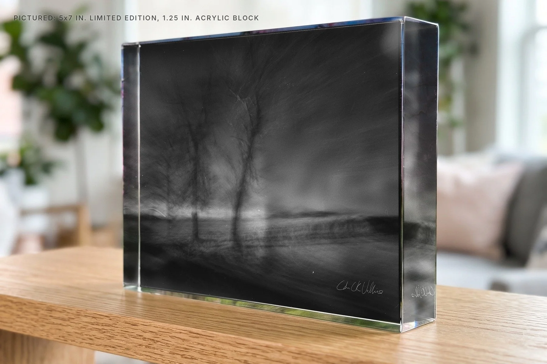 Infrared 012 - 5x7 acrylic block.jpg