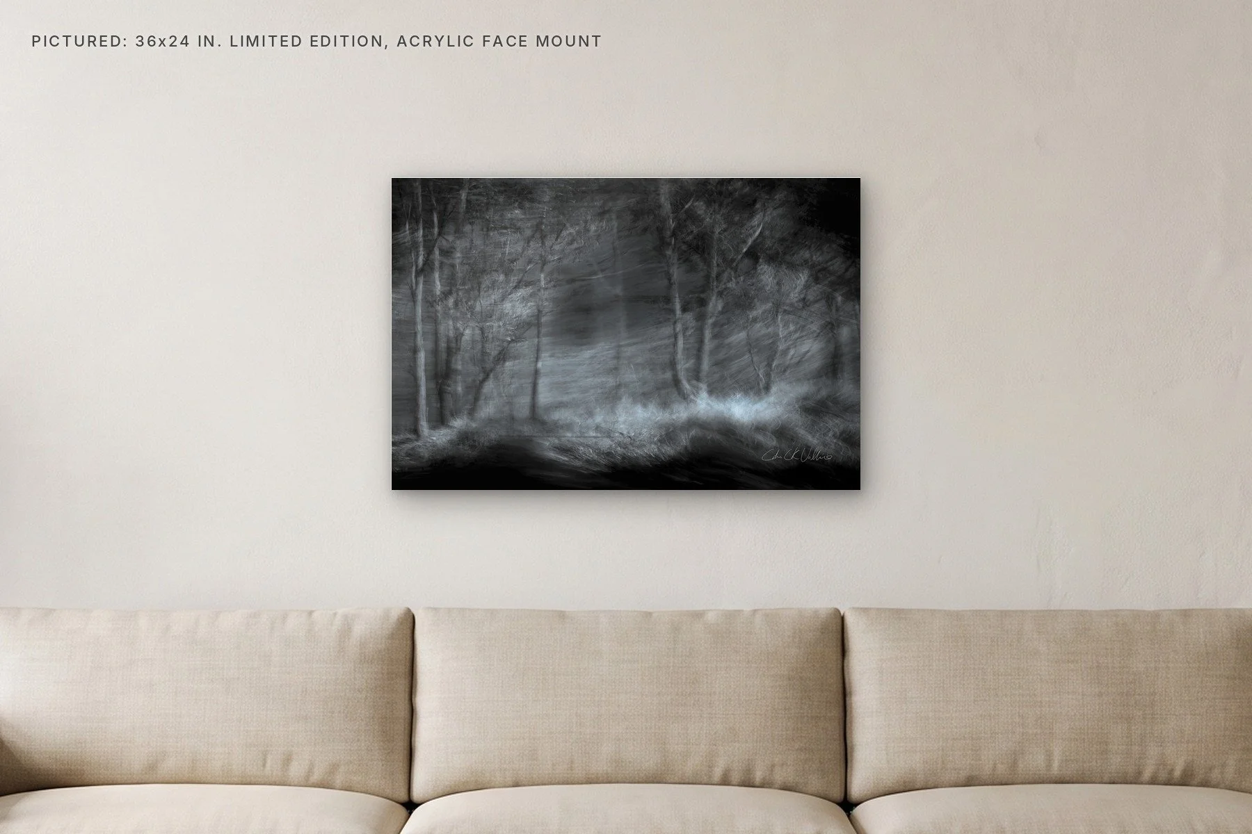 The Bush Geelong - 36x24 acrylic face mount in a living room.jpg