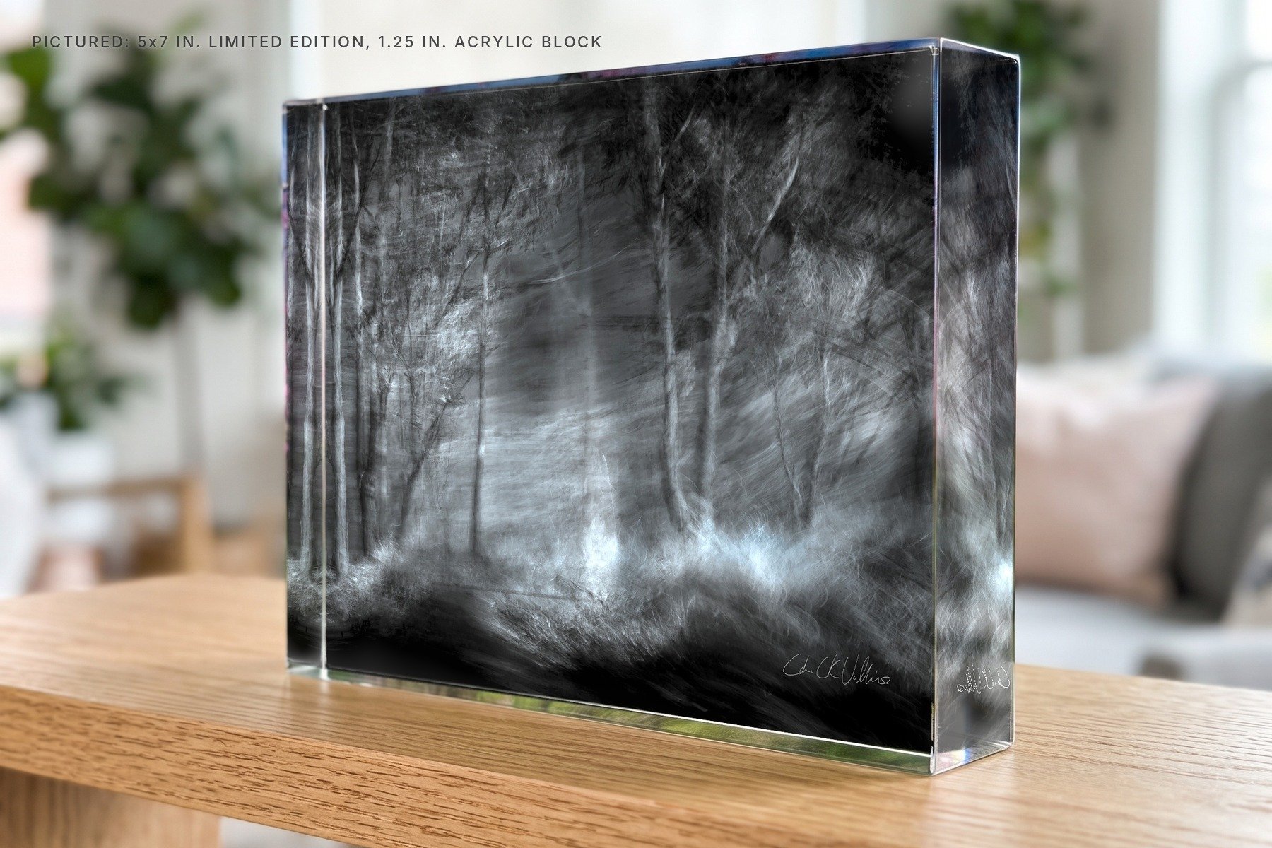 The Bush Geelong - 5x7 acrylic block.jpg
