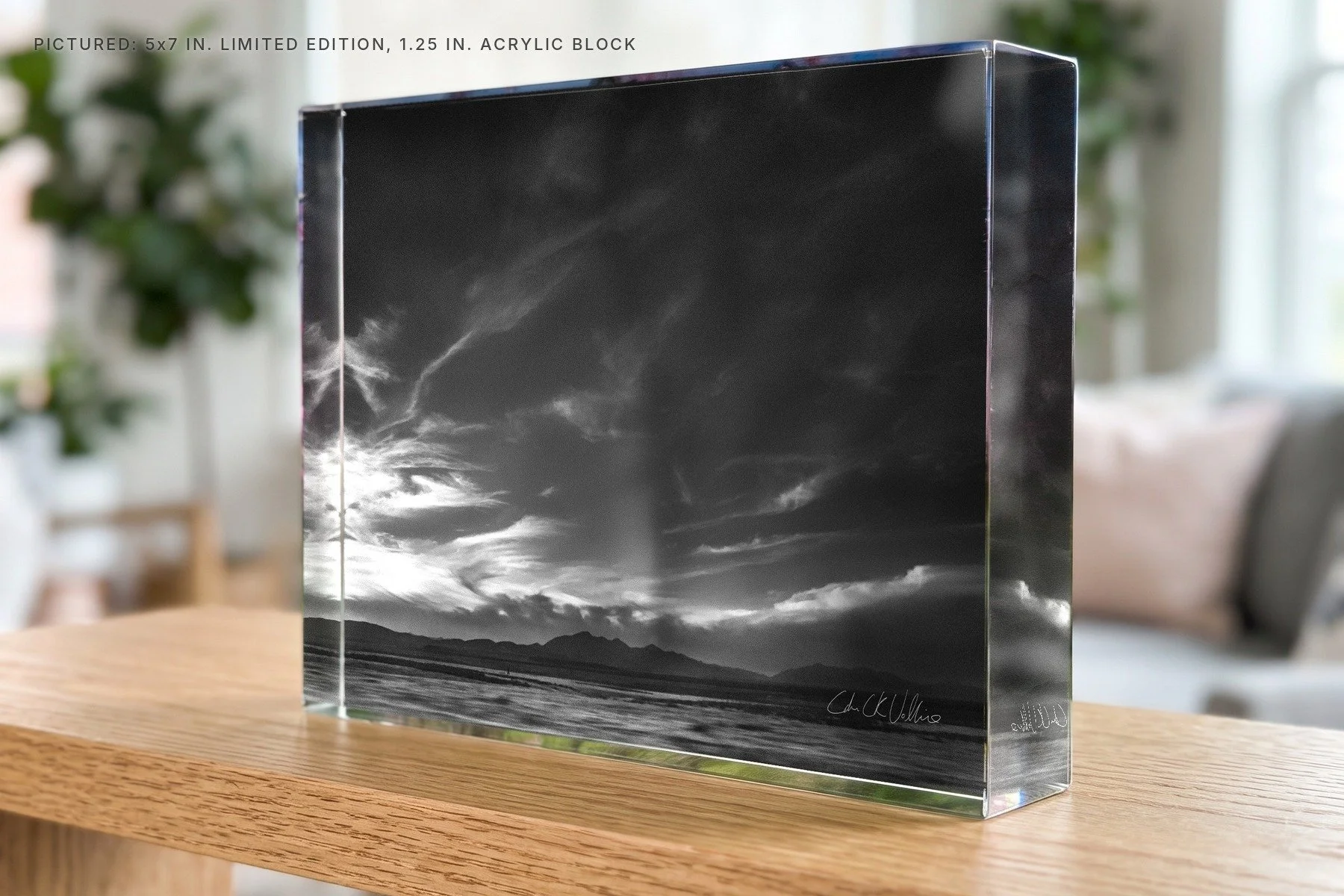 Sea of Land Nevada - 5x7 acrylic block.jpg