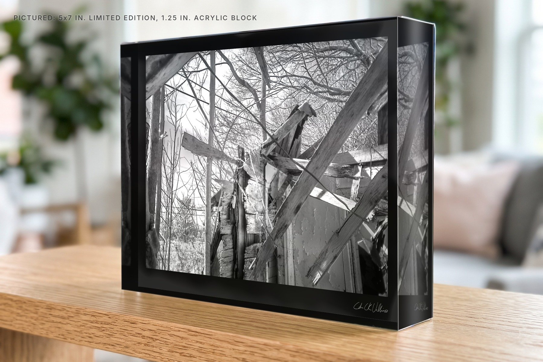 Bowker Road Broken Rafters - 5x7 acrylic block.jpg