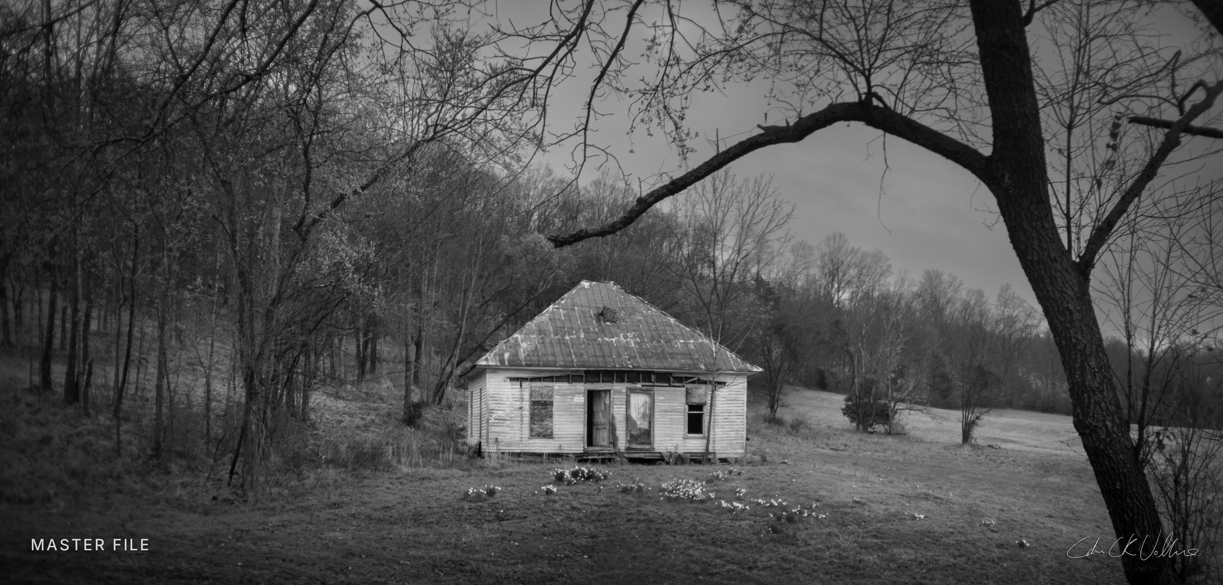 Homestead at Mound Bottom (Panograph) - My Tennessee by Adam CK Vollick.jpg