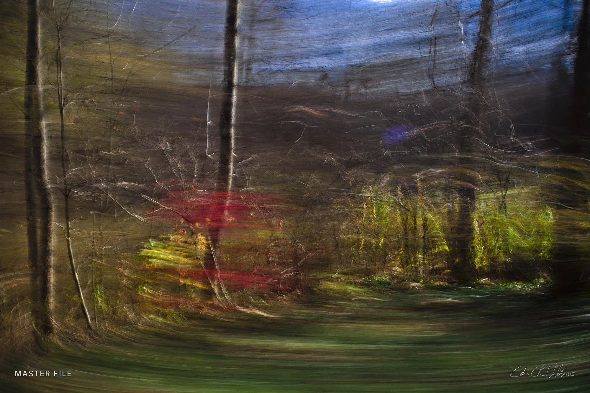 Burning Bush - Spacetime Painting by Adam CK Vollick.jpg