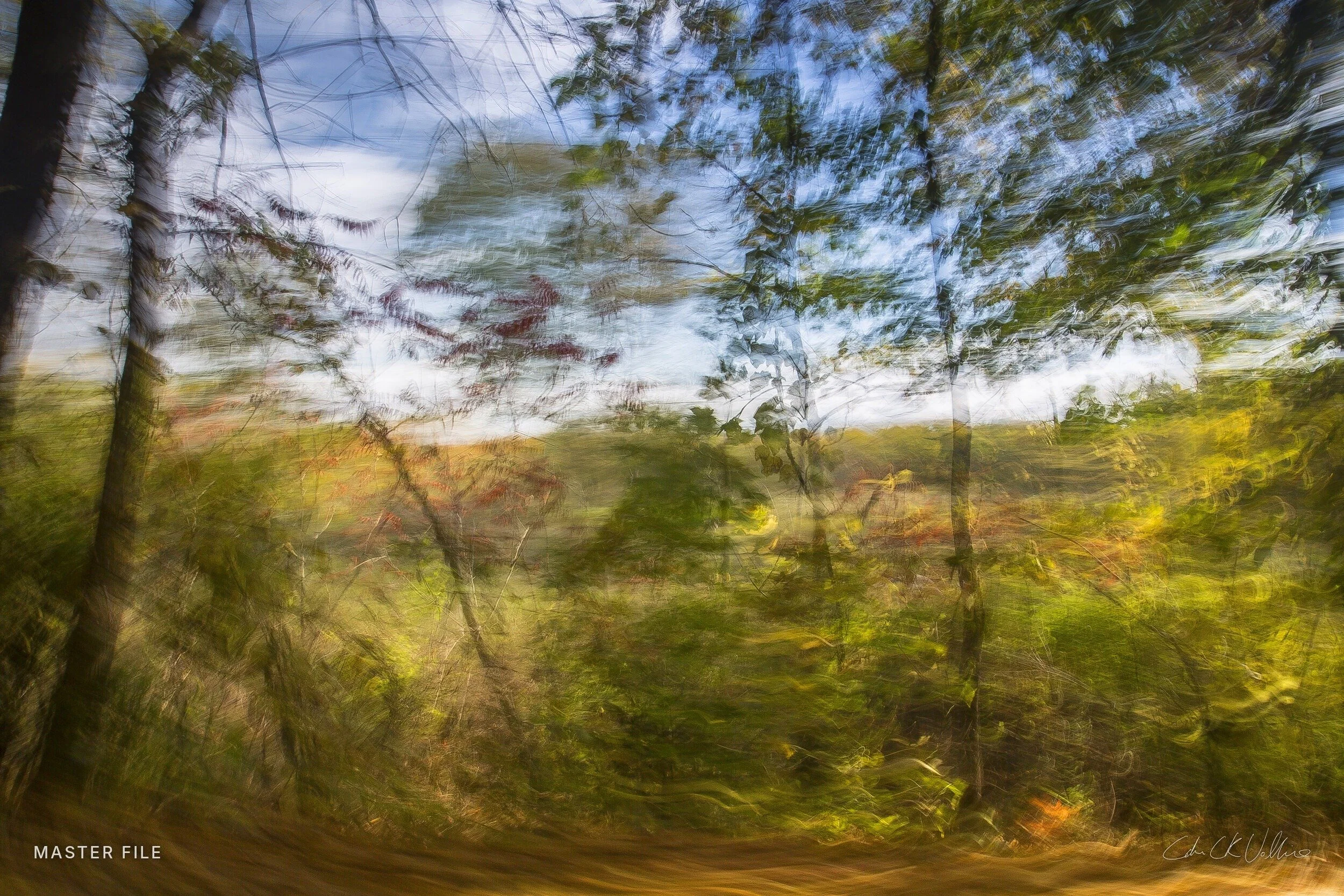 Fence Line 5 North Pelham - Spacetime Painting by Adam CK Vollick.jpg